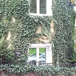 Hotel Belvedere 4*