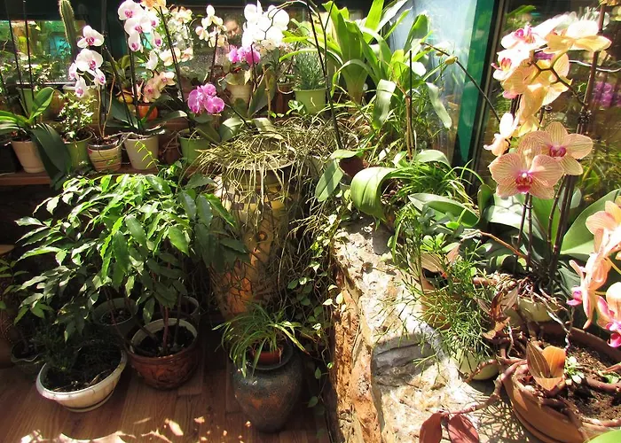 Belvedere 4* Sarajevo